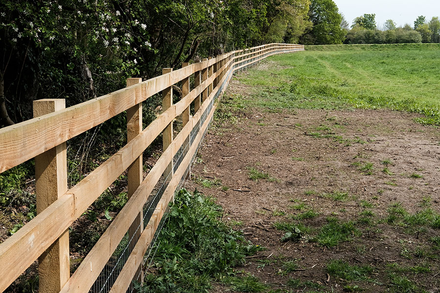Babcock Ranch Fence Option